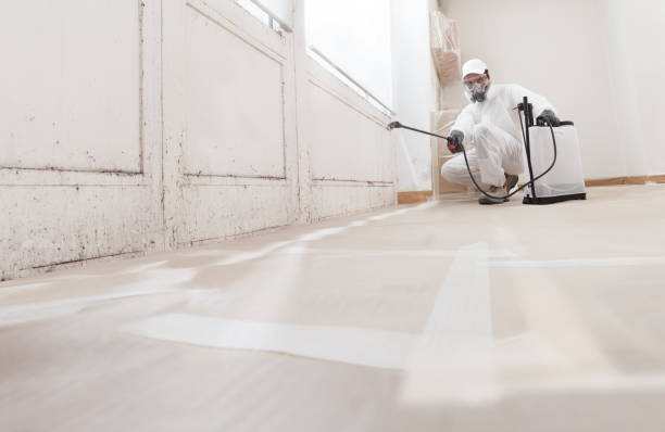 24/7 Emergency Mold Remediation experts in Halifax, NC