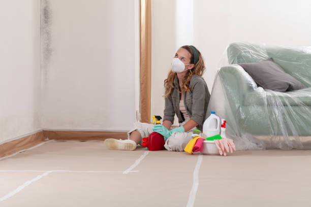 Reliable Mold Remediation contractor in Halifax, NC by 24 Hour Mold Removal